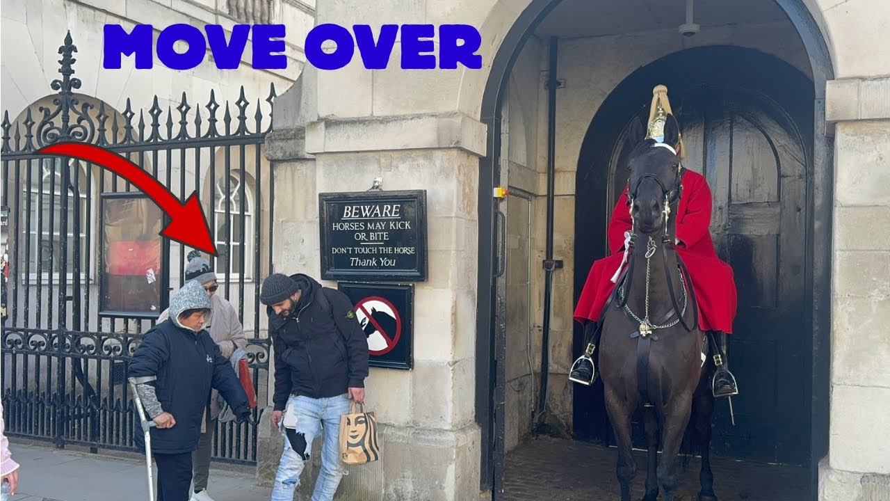 Rude Guy Stands Forever by the Guard Horse 😡 Won’t Let Others In!”