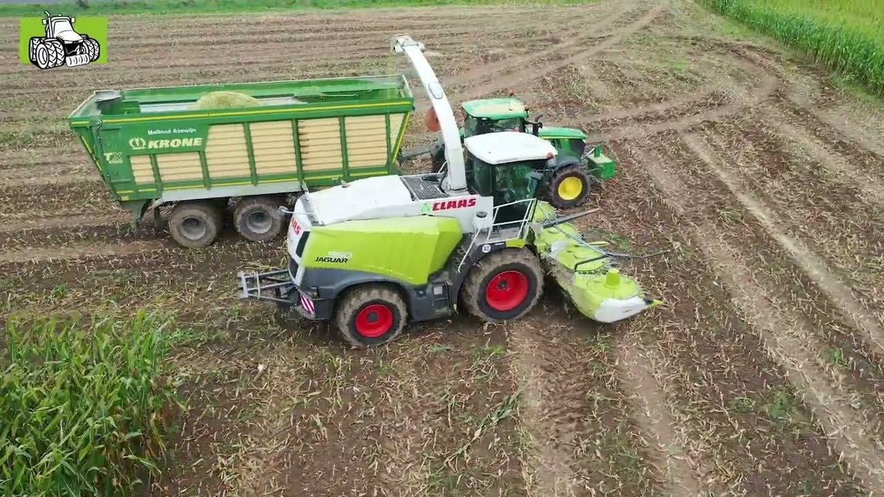 Loonbedrijf Meiland uit Azewijn met Claas Jaguar 650 in de snijmaïs