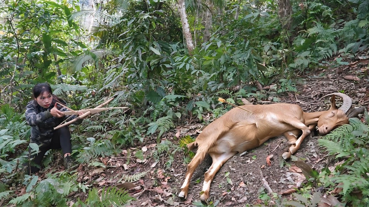 Skills in hunting wild goats in nature, and making traps to catch them, survival alone