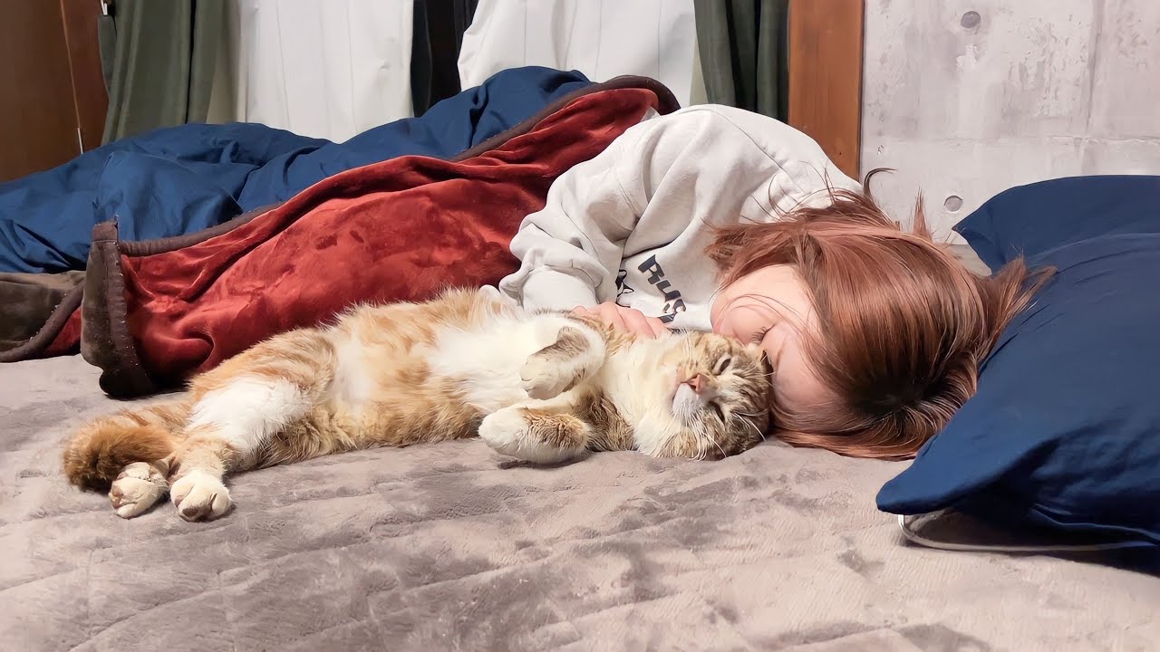 野良猫と1年近く関係を作り上げていった結果がこちら
