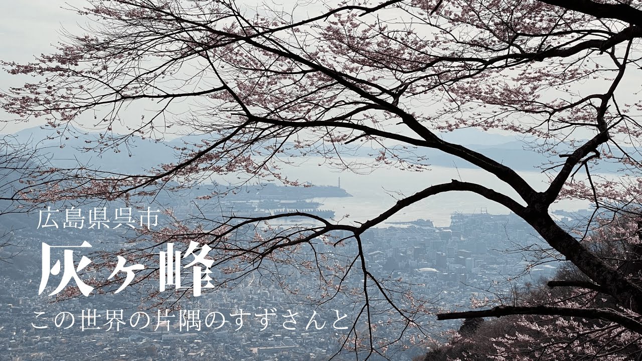 【呉市・灰ヶ峰〜この世界の片隅に】呉市最高峰灰ヶ峰の見事な桜。『この世界の片隅に』登場シーンも訪ねます。すずさん、周作さんも登場！2024.4.5
