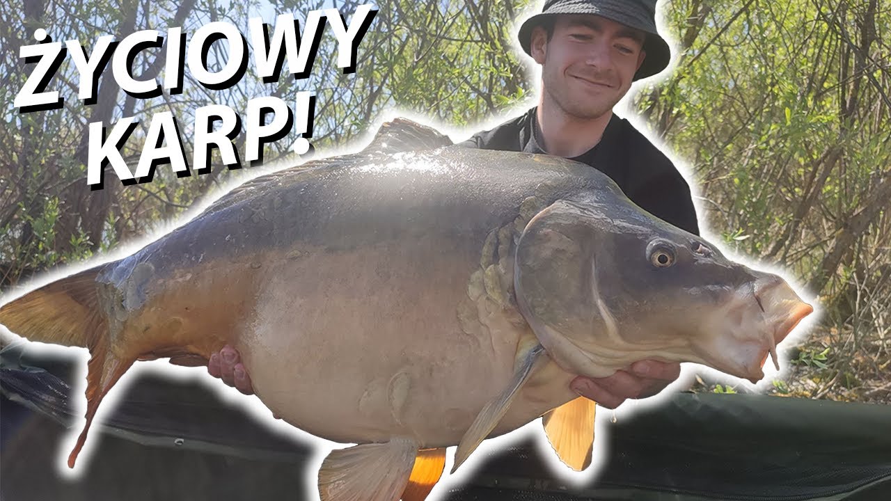 PIERWSZA NOCKA W SEZONIE I ŻYCIOWY KARP! 2 DOBY NA ŁOWISKU WOJSZE!