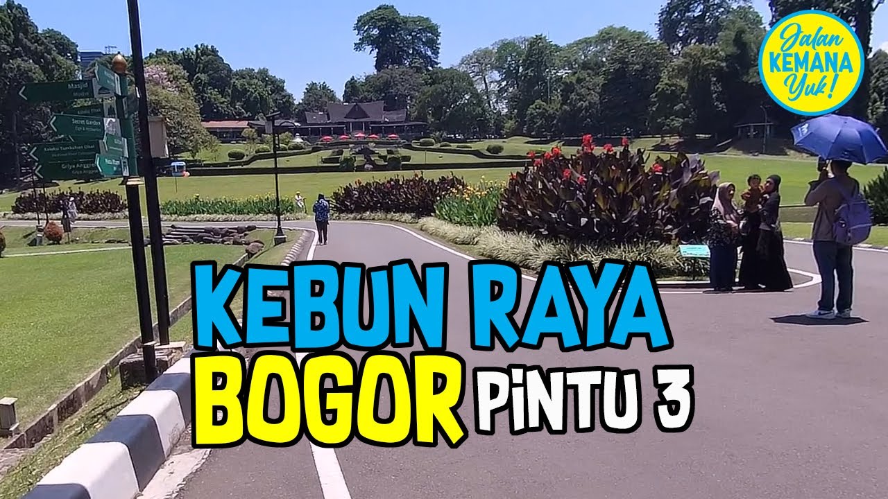 Jalan-jalan ke Kebun Raya Bogor via Pintu 3