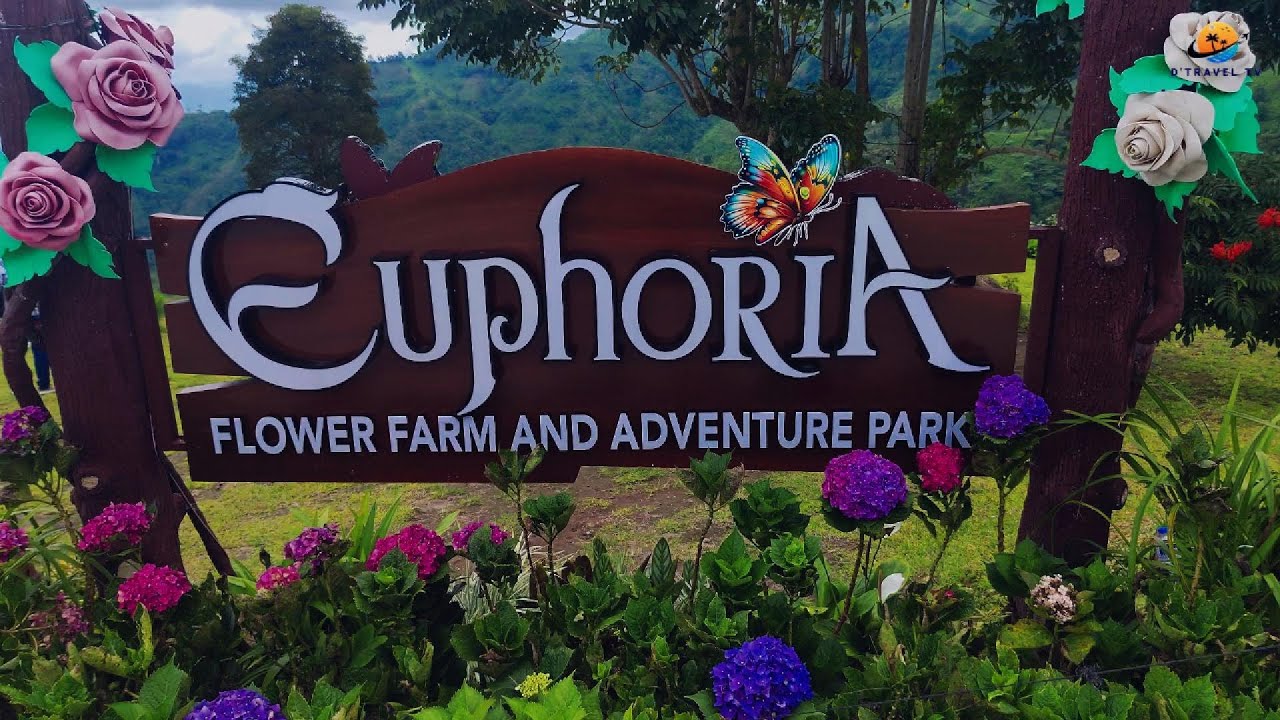 Euphoria Flower Farm and Adventure park