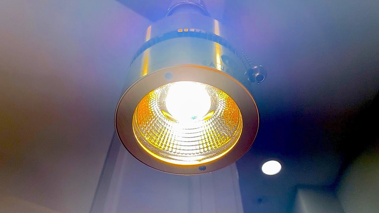 Canagrow COB LED Grow Light Unboxing and Testing (PAR/PPDF, Temp, Watts)