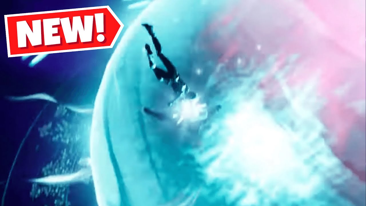 Fortnite Who Really Fell Into The Zero Point