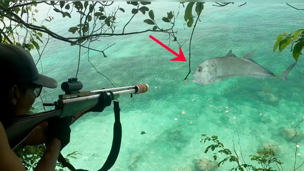 Mimpi apa semalaman IKAN GT BESAR MUNCUL DI DEPAN SAYA