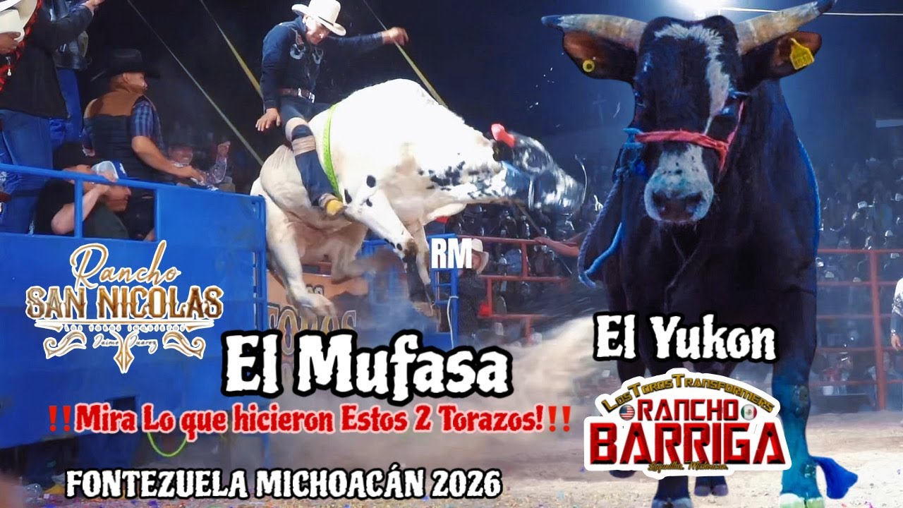 2 TORAZOS TEMIDOS POR LOS JINETES‼️RANCHO BARRIGA Y RANCHO SAN NICOLAS EN FONTEZUELA MICHOACAN 2025