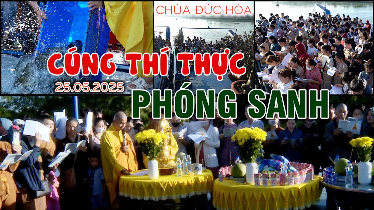 CÚNG THÍ THỰC VÀ PHÓNG SANH THẢ CÁ Tháng 04al [25.05.2025]