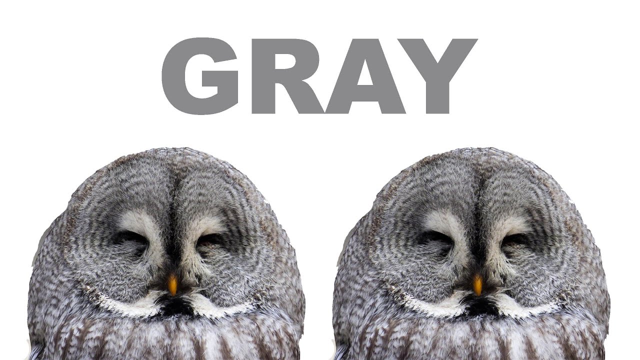 Learn the colors GRAY!, color song, color video