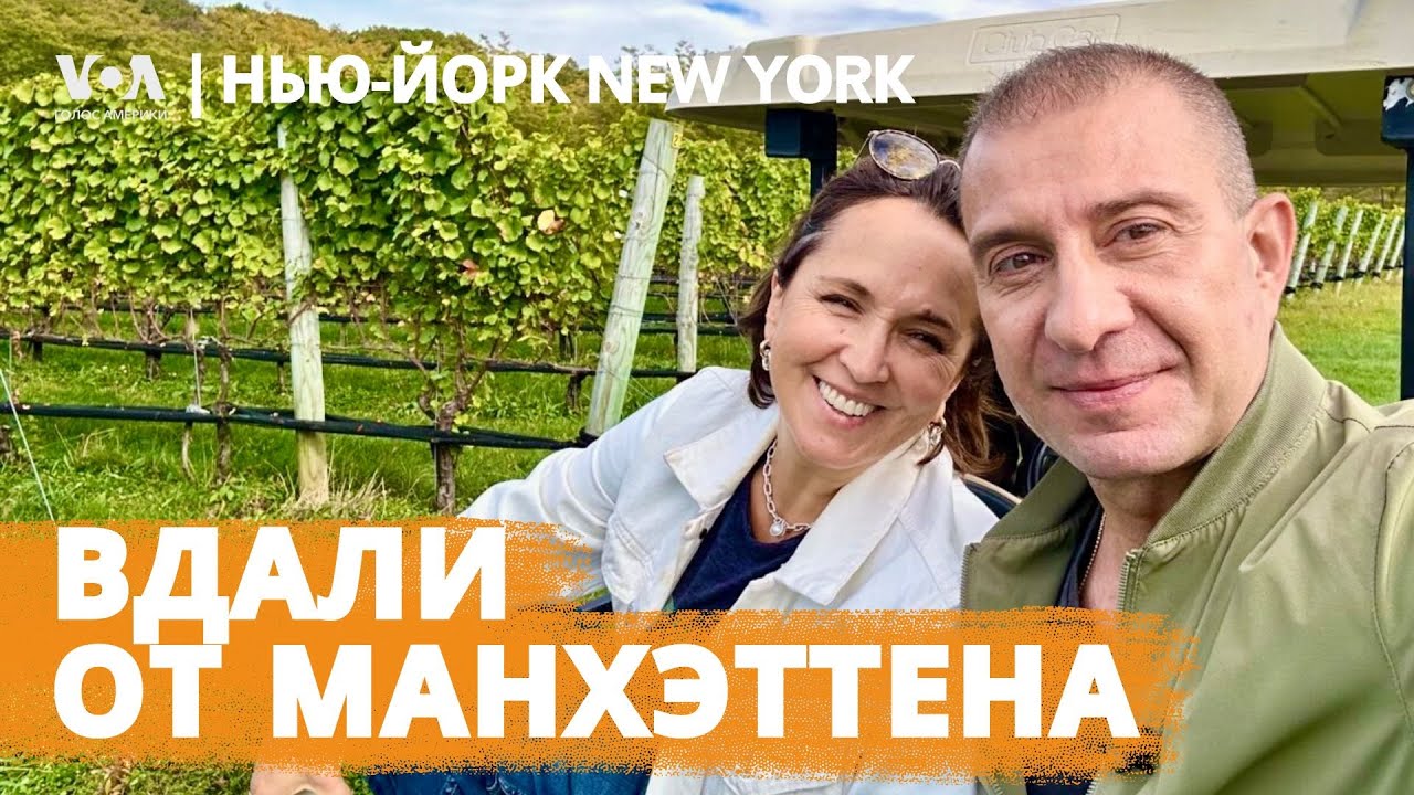 Экологичная винодельня, автошоу и вкус молодого рислинга: идеальный уикенд. НЬЮ-ЙОРК NEW YORK