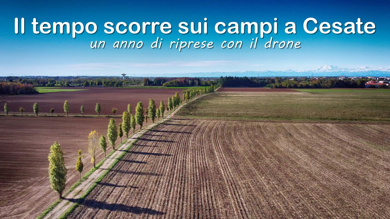 Il tempo scorre sui campi a Cesate - un anno di riprese con il drone