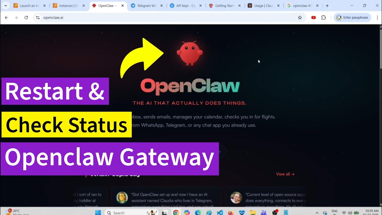 OpenClaw | Как перезапустить и проверить статус | Шлюз OpenClaw | ClawdBot MoltBot