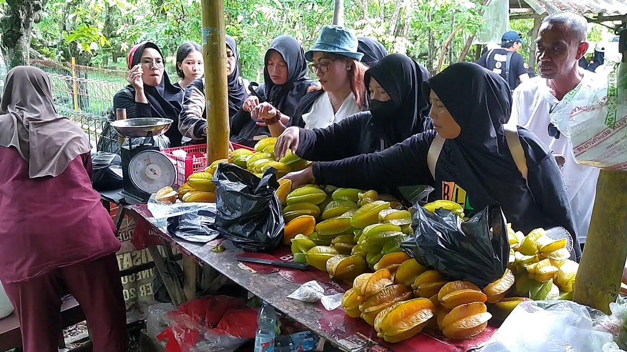 VIRAL.... ‼️ AGRO WISATA KEBUN BELIMBING DAN JAMBU KRISTAL YANG PALING RAMAI DI BOJONEGORO