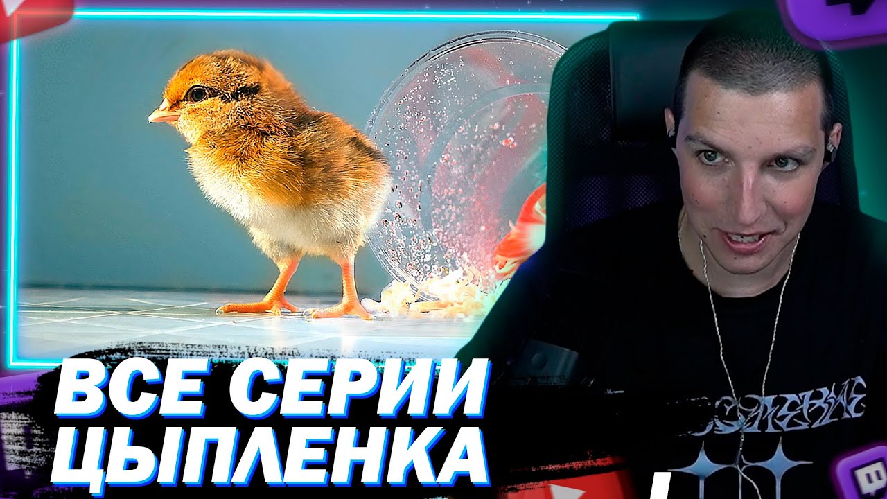 МАЗЕЛЛОВ СМОТРИТ Я РОДИЛСЯ В СТАКАНЕ! И ПРОДОЛЖЕНИЕ ВИДЕО О ЦЫПЛЕНКЕ