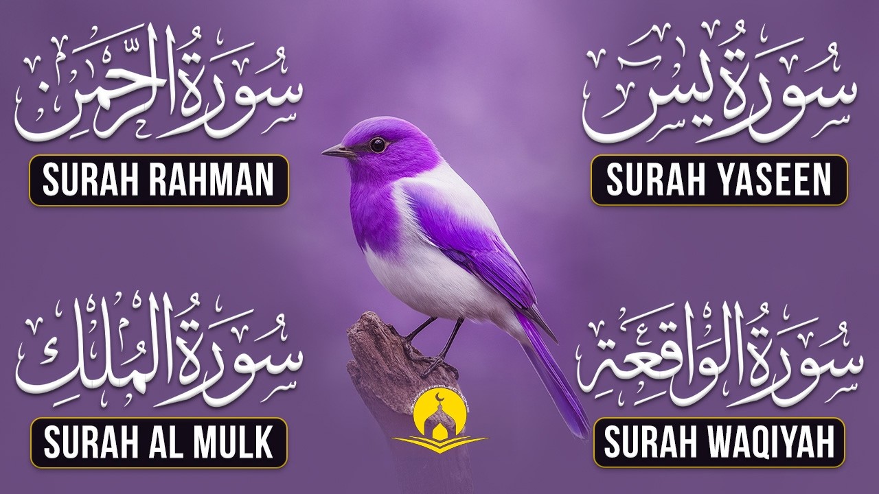 Very Nice Voice Surah Yaseen | Surah Rahman | Surah Waqiah | Surah Mulk l Reciter Ashraf Hussain 085