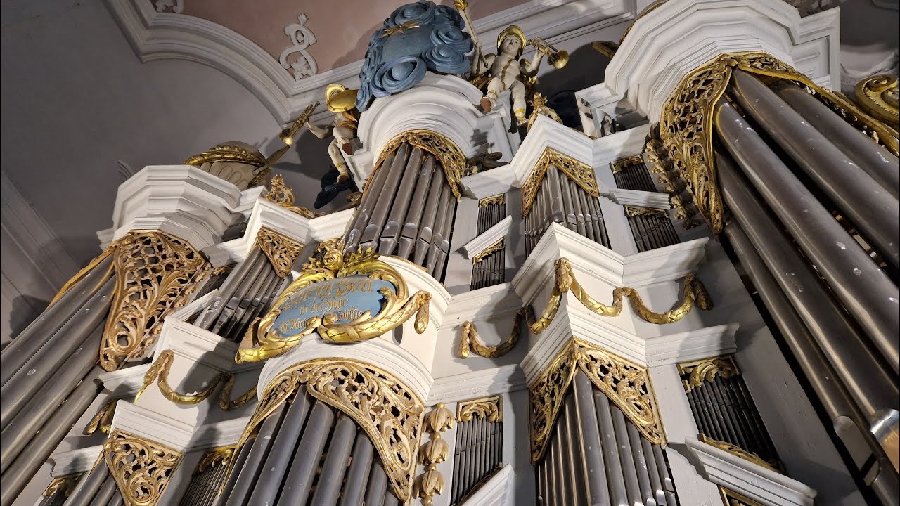 Wer nur den lieben Gott lässt walten - Partita | Böhm | St.Jacobi Kirche | Gingst | Matthias Grünert