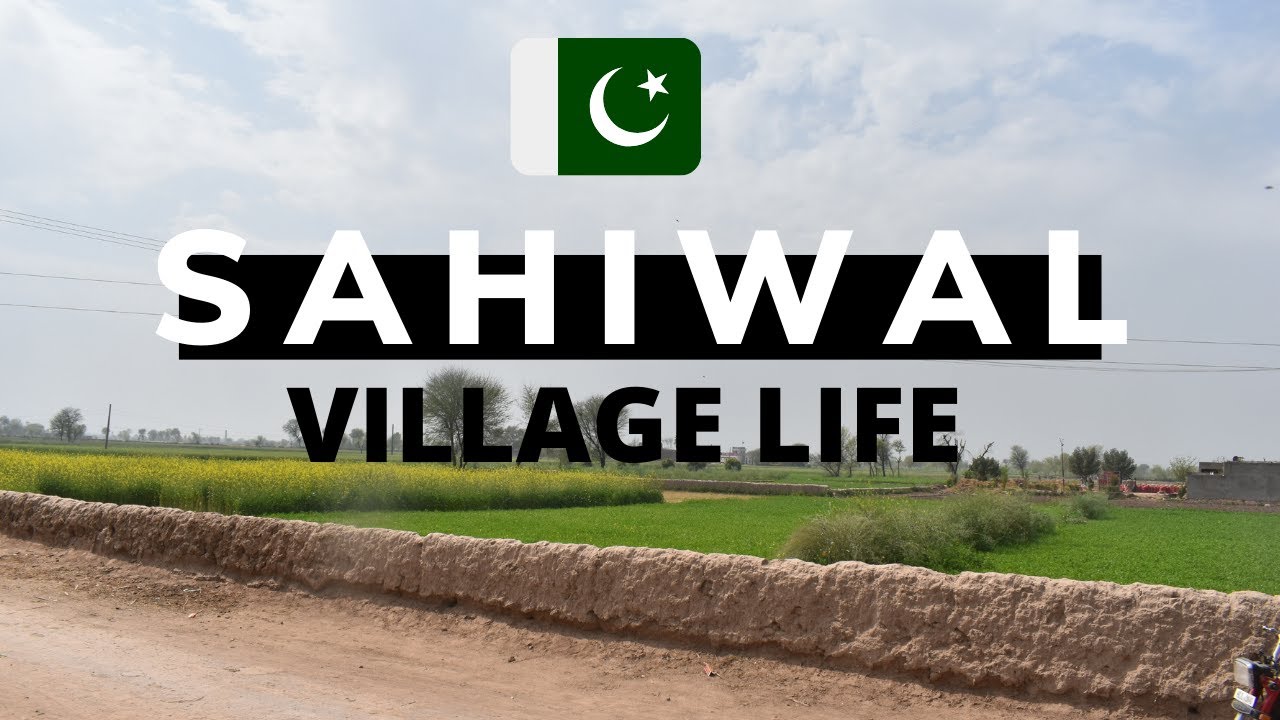 24 Hours Village Life  in Sahiwal, Punjab , Pakistan
