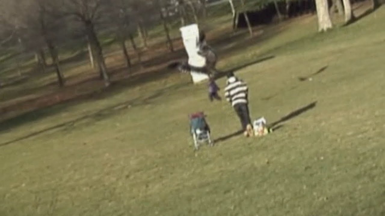 Eagle snatching baby video: Students behind the hoax speak out