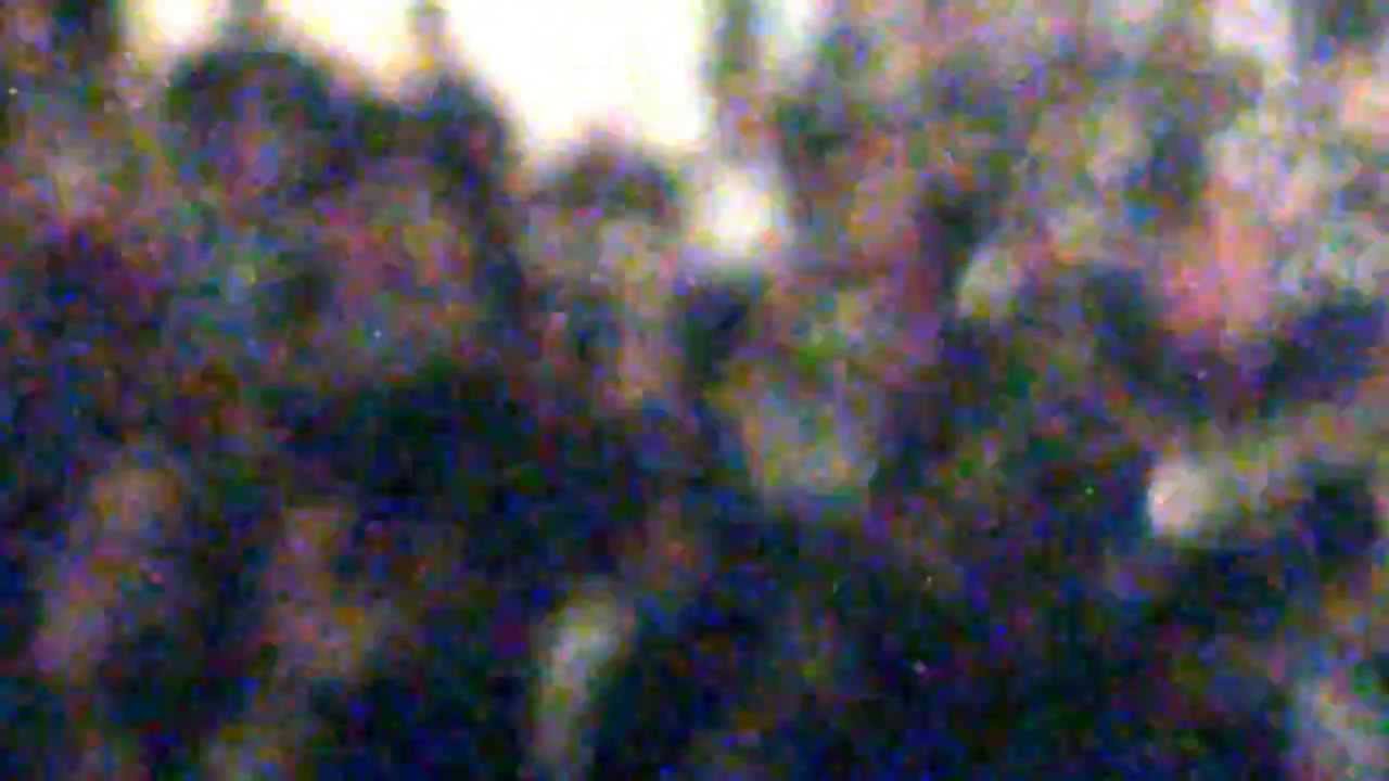 Fanfare Pustule - Let's  Bang
