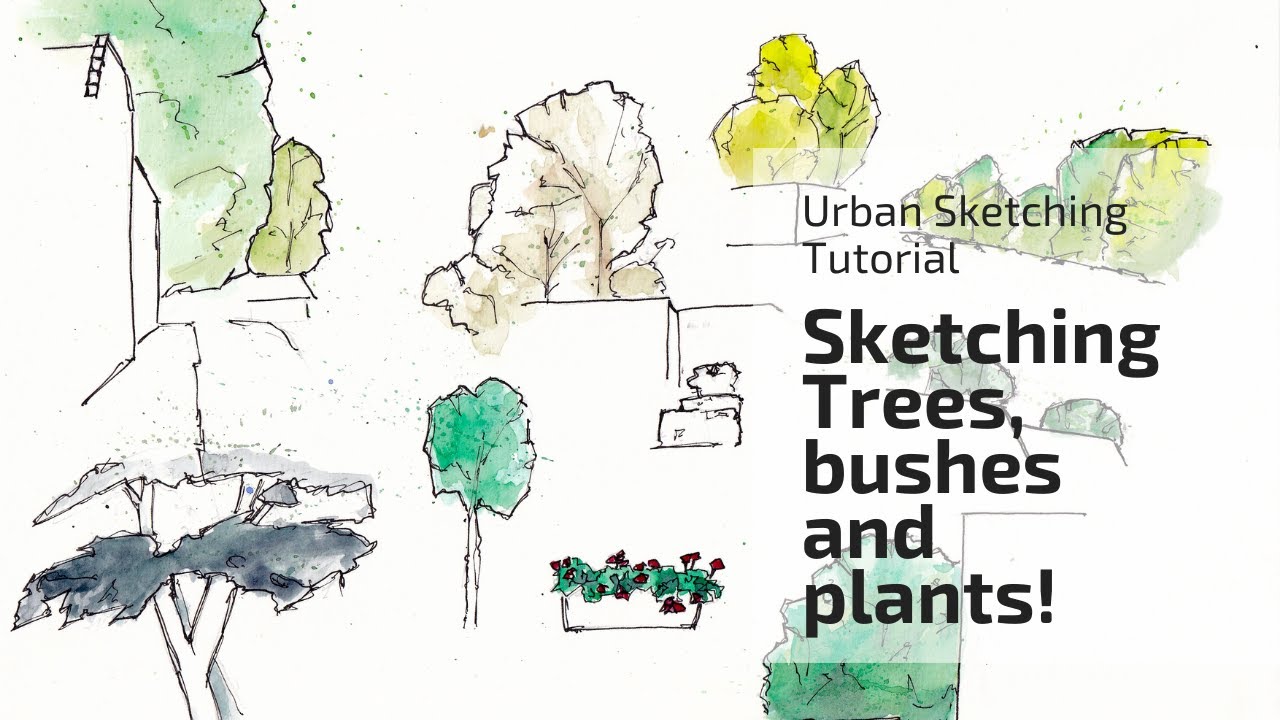Urban Sketching Trees Tutorial