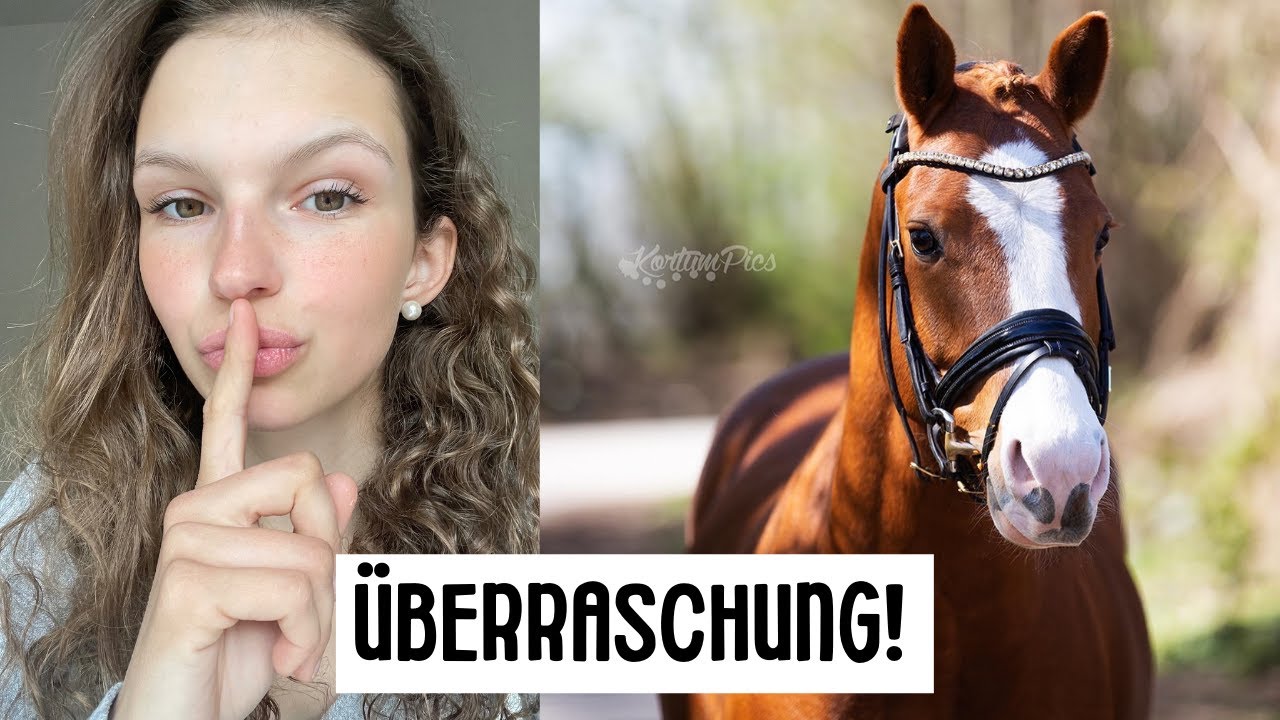 Pony verschenkt?! 😱 Überraschung für Kleinis größten Fan I LILGRO