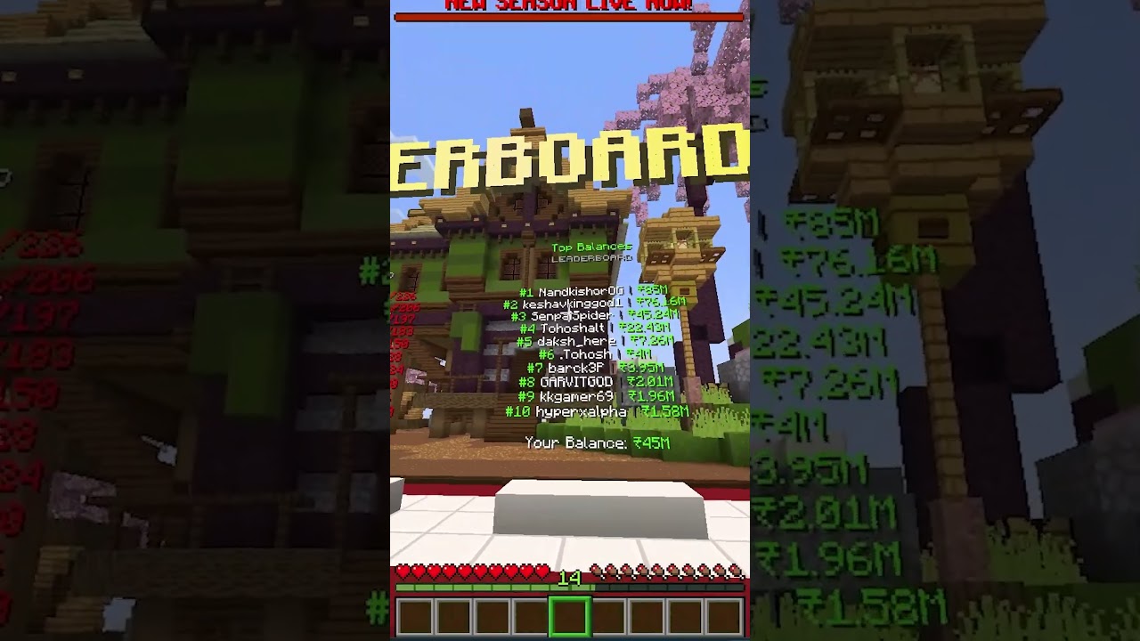 How I Became the Richest Player in This Minecraft SMP