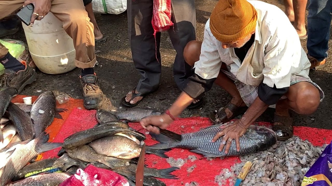 Delicious& Popular Big Catla Fish Cutting with Big Knife in Indian Fish Market