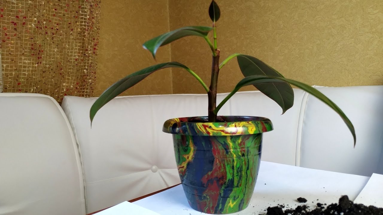 Hydro dipping Flower Pots (aqua print)