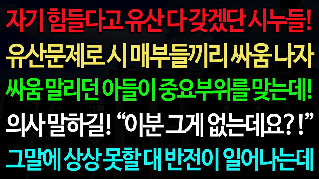 실화사연-자기 힘들다고 유산 다 갖겠단 시누들! 유산문제로 시 매부들끼리 싸움 나자 싸움 말리던 아들이 중요부위를 맞는데!/노후/사연/오디오북/인생이야기