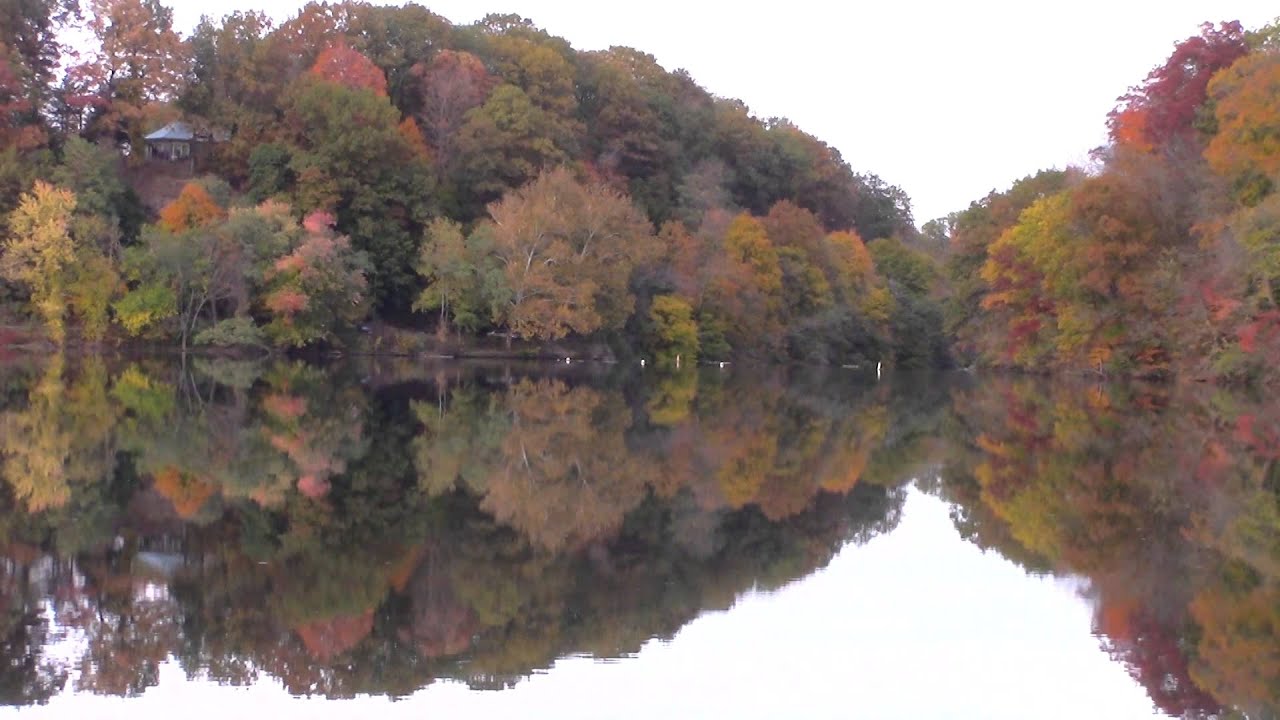 Canon Vixia HF R400 Cinema Filter Comparison Test Footage Low Budget Indy Camcorder Under 300 USD