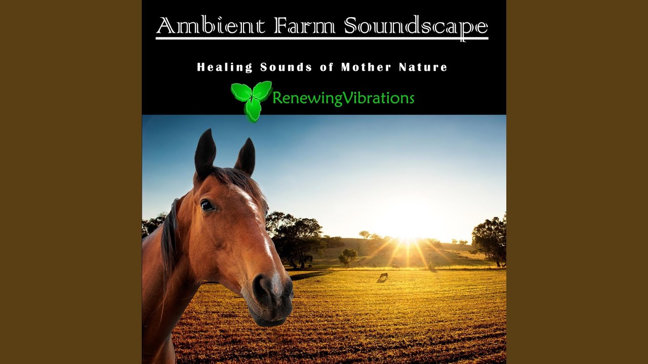 Ambient Farm Soundscape. Healing Sounds of Mother Nature. Great for Relaxation, Meditation,...
