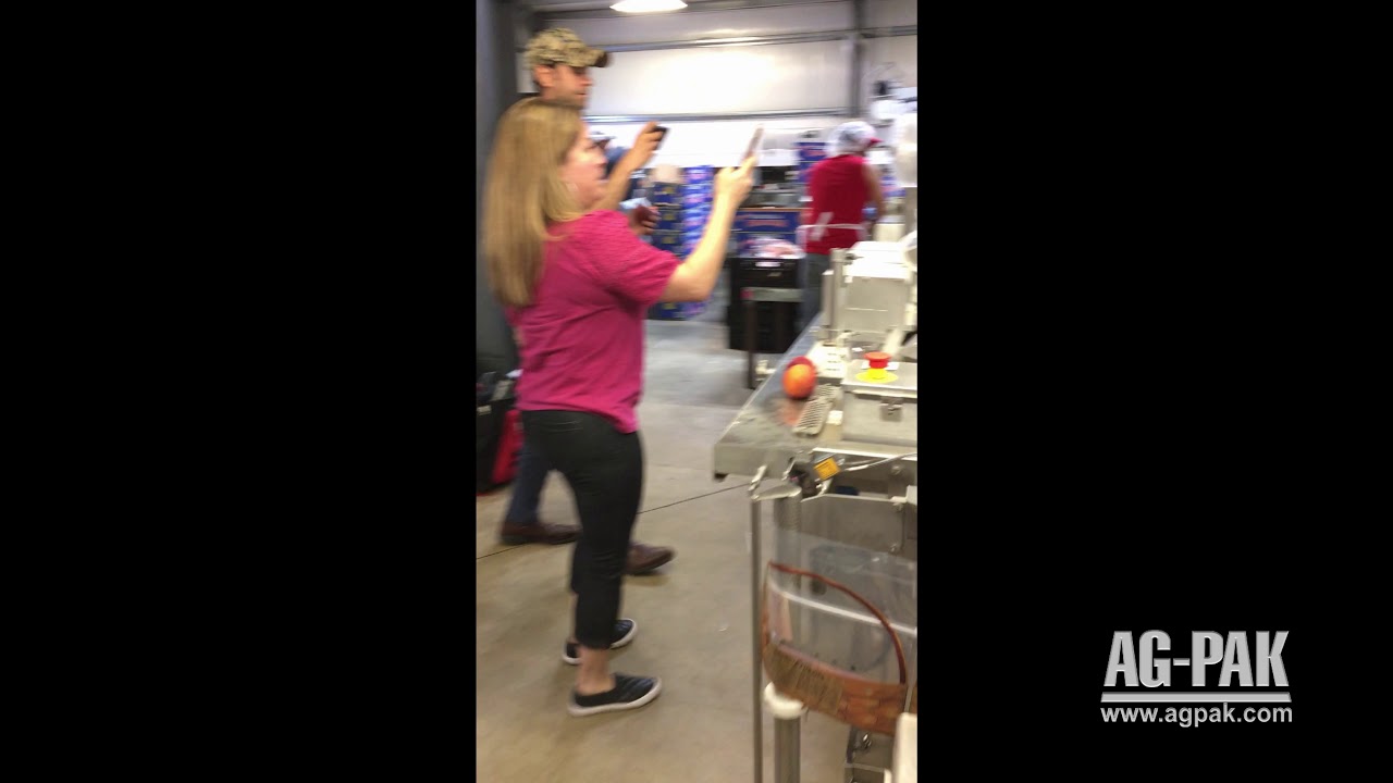 Pouch Bagging Peaches