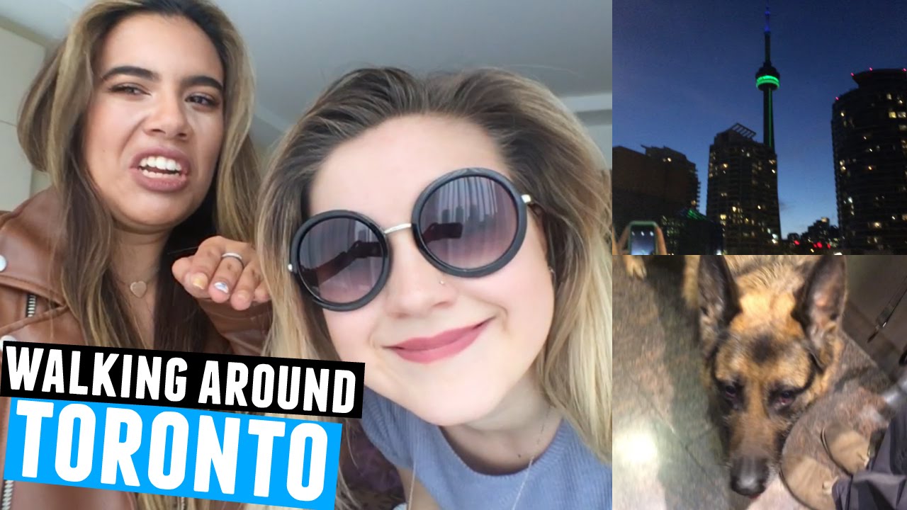 WALKING DOGGIES AROUND TORONTO!!!!