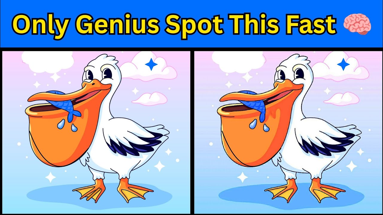 Can You Spot All the Differences Between These Animals and Birds? | Find the Difference Challenge
