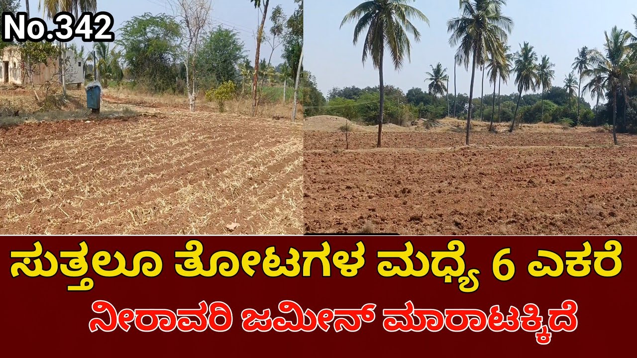 Agriculture Land for Sale Near Vedavathi River | Challakere Taluk, Chitradurga District | Karnataka