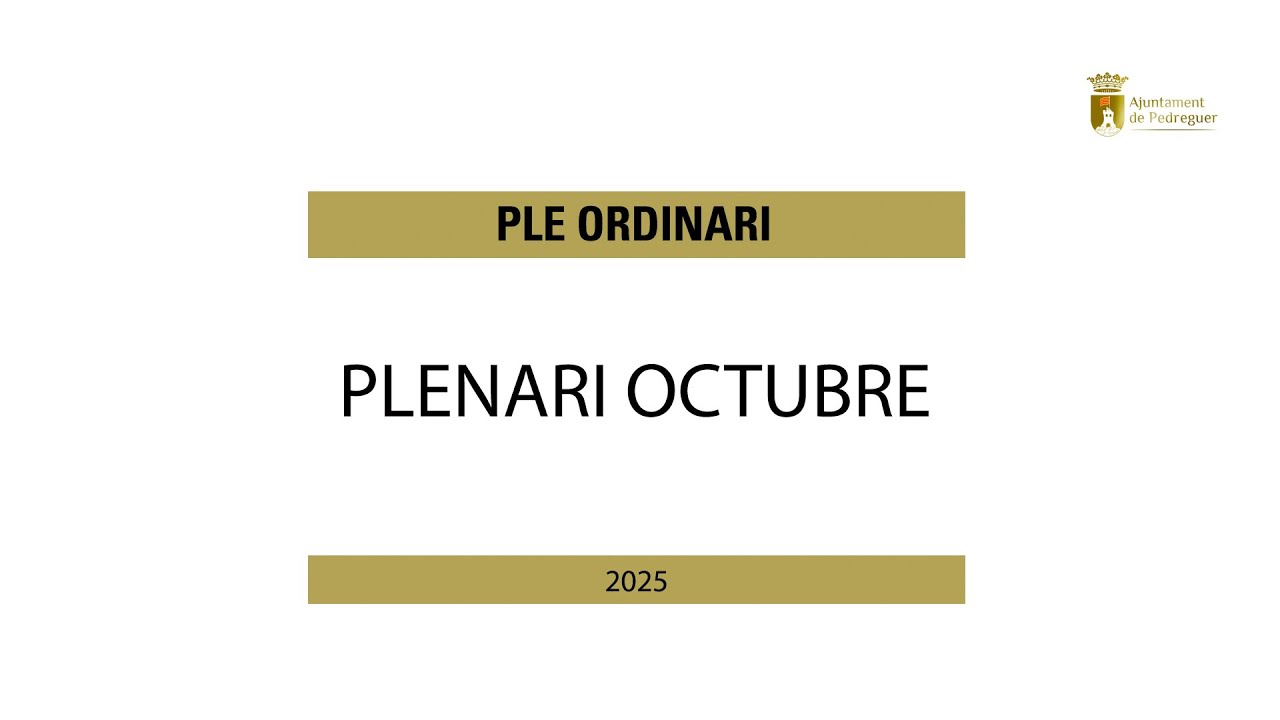 Plenari Octubre 2025