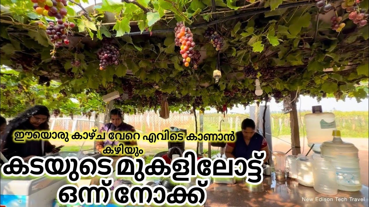 Fresh grape juice വേറെ എങ്ങും ഇതുപോലെ ഒരു ജ്യൂസ് കടം കാണാൻ കഴിയില്ല Tamil Nadu 