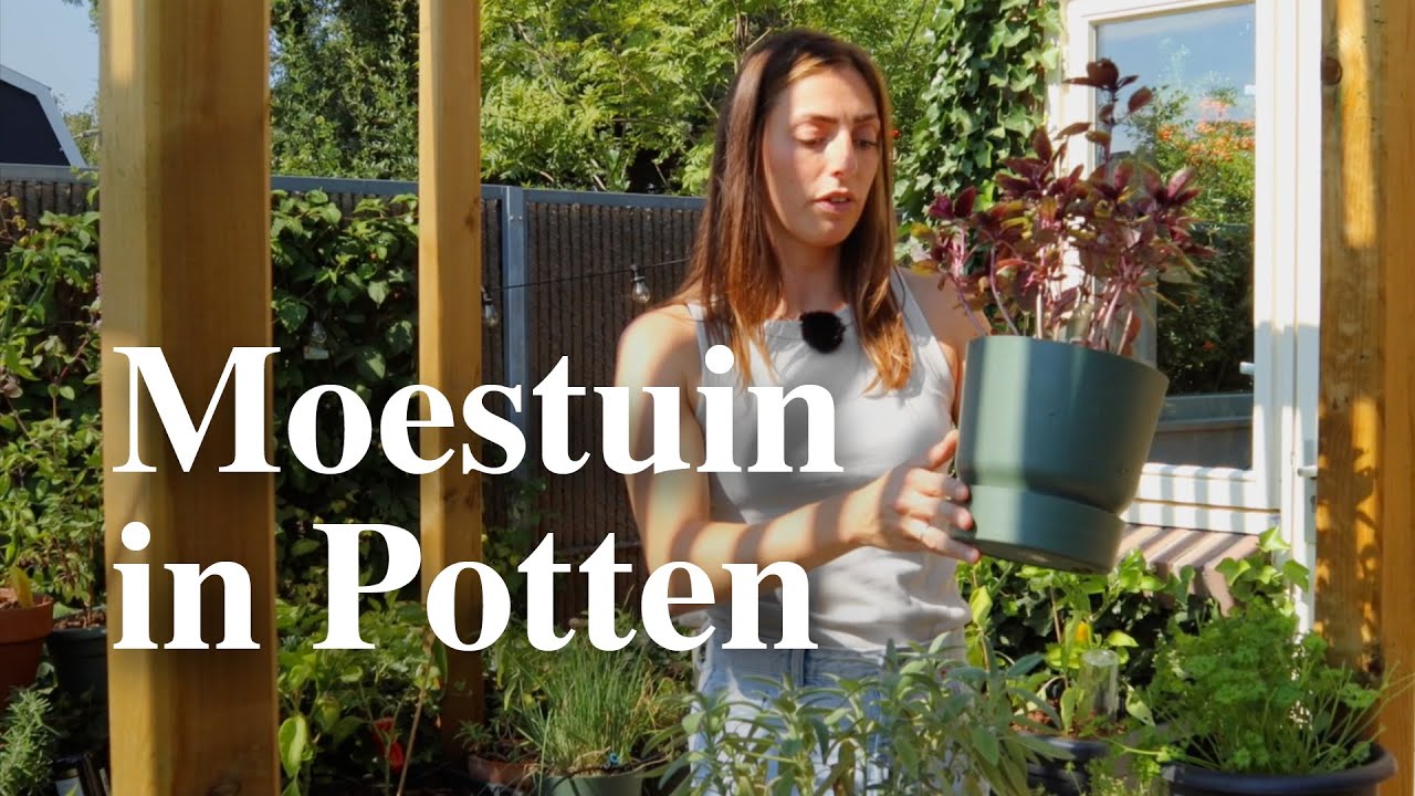 Een moestuin in potten, zo doe je dat | Floor Korte - Floors Moestuin