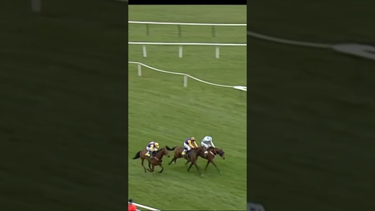 Most dramatic Cheltenham Festival race ever?#horse #horseracing #racingtv #sport #britishhorseracing