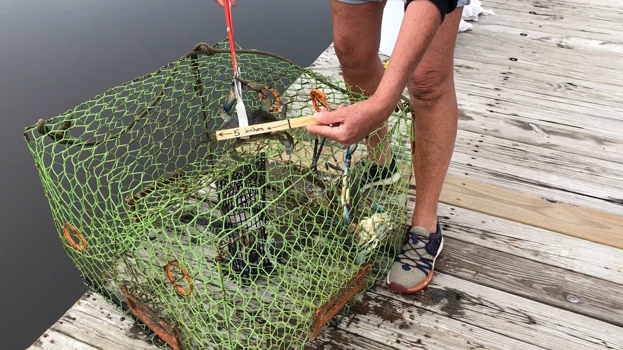 How Crab Pots Work