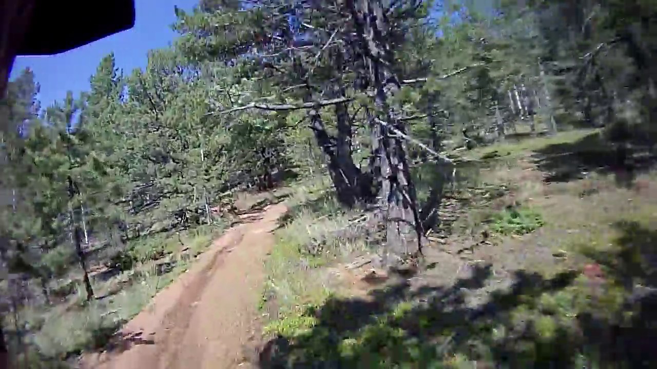 Beta 125 RR-S on Trail 667 in Pike National Forest