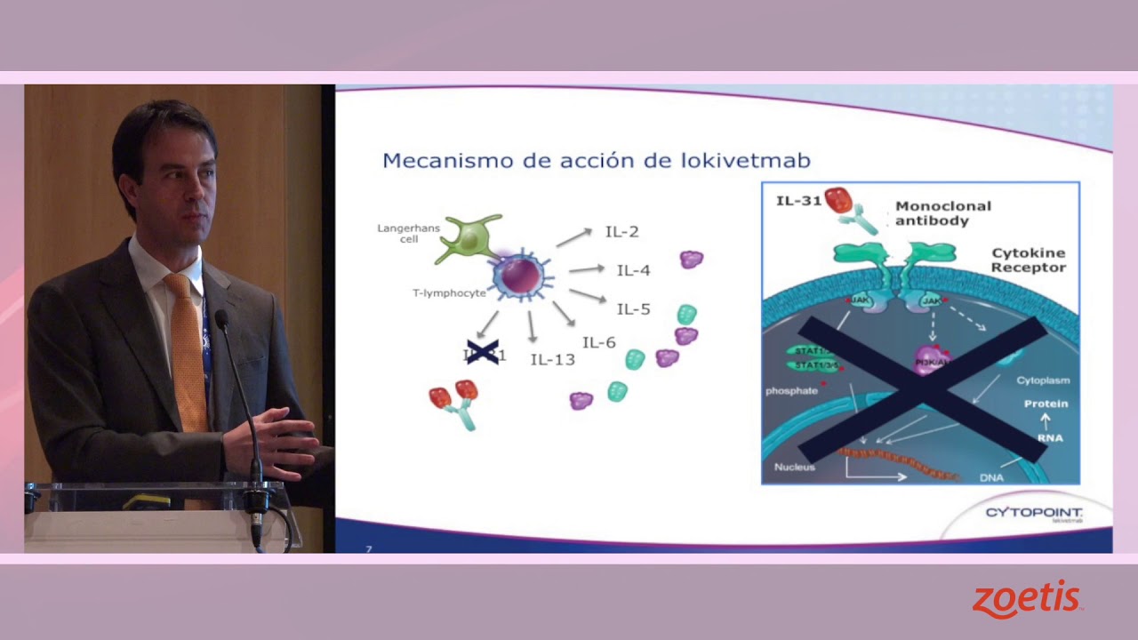 Cytopoint (lokivetmab): Perfil técnico de un producto que inicia una nueva era en dermatologia