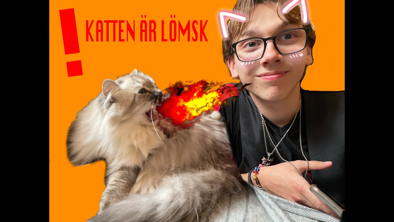 Adam blir Catboy?!