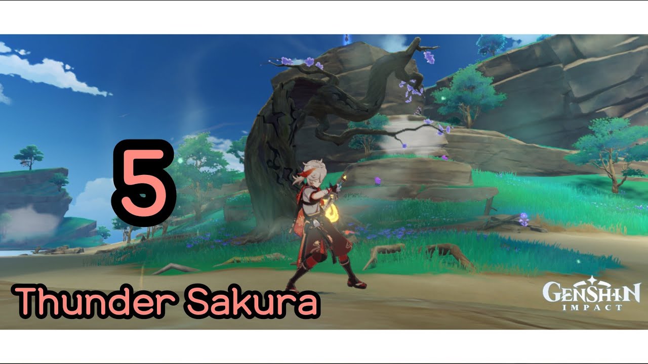 [ Genshin Impact ]ตำแหน่งของ Thunder Sakura 5 จุด