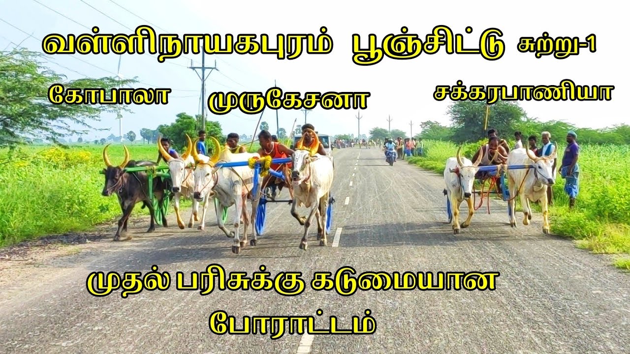 11.12.22 வள்ளிநாயகபுரம் பூஞ்சிட்டு சுற்று-1 தூத்துக்குடி (மா)@Vetritamilan