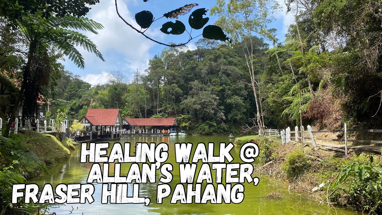 🐟 Lake healing time at Allan’s Water, Fraser Hill, Pahang | Feeding fish and walk