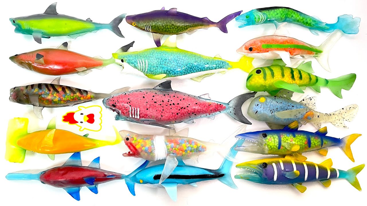 シャークアタック＆Ｃｏ.（アンドコ）ローソン限定ver!! 開封 鮫 魚 海 デアゴスティーニ スクイーズ Shark Attack & Co. Lawson Limited squishy