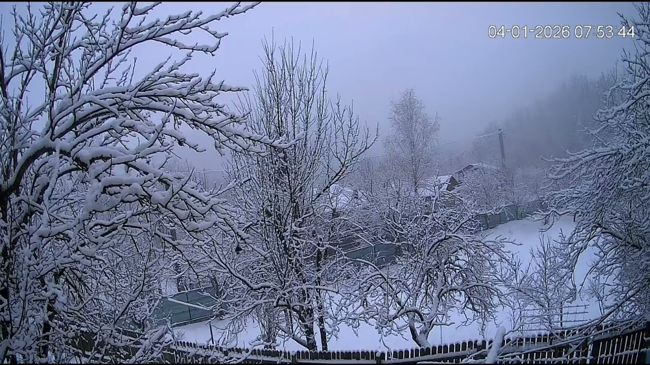 Ariceștii Zeletin [Ianuarie 2026] [I]