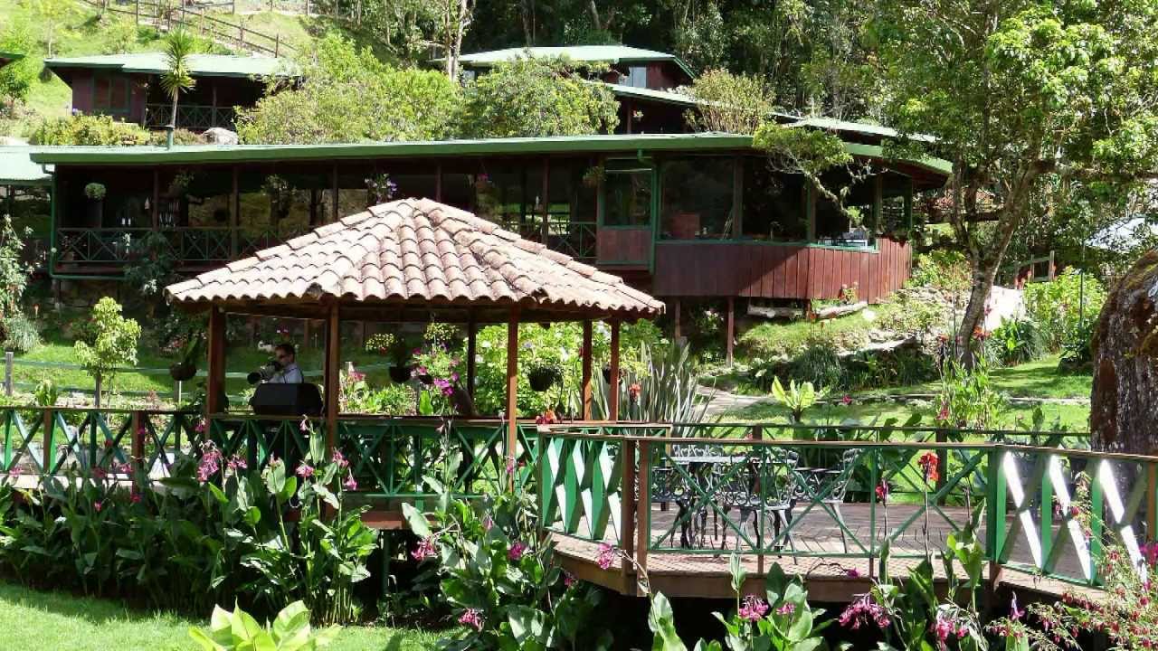 Reallatino Tours- Trogon Lodge, San Gerardo de Dota, Costa Rica